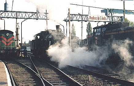 Polen7